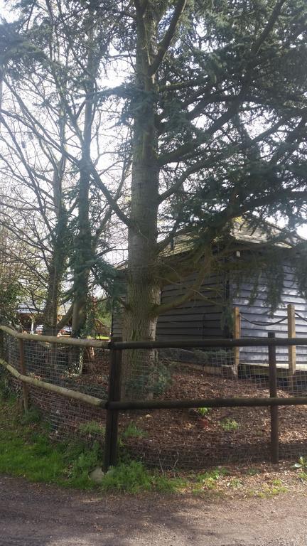 Latchmead Bed & Breakfast Stansted Mountfitchet Bagian luar foto